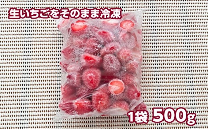 秋田県 羽後町産  冷凍いちご 1kg（500g×2）国産 イチゴ ジャム スムージー お菓子づくり 果物 フルーツ 冷凍果物 冷凍フルーツ そのまま トッピング フローズンイチゴ ストロベリー 