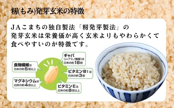 秋田県産 あきたこまち 籾発芽玄米 真空キューブ米セット 300g×10個 合計3kg 令和5年産