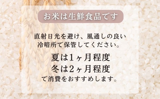 定期便4ヶ月 無洗米 秋田県産 あきたこまち 10kg (5kg×2袋)×4回 計40kg 令和5年産