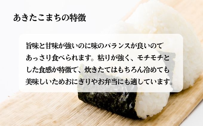 定期便5ヶ月 無洗米 秋田県産 あきたこまち 10kg (5kg×2袋)×5回 計50kg 令和6年産