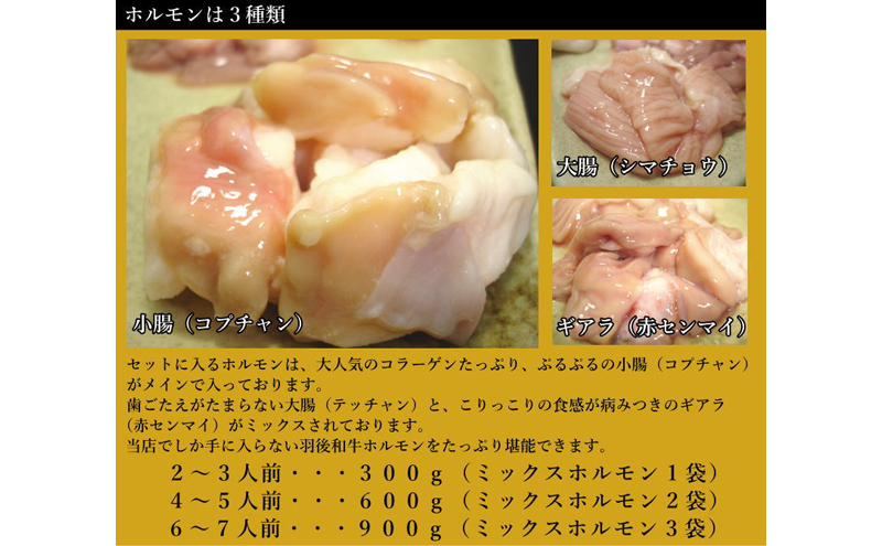 羽後和牛もつ鍋セット2～3人前 しょうゆ味