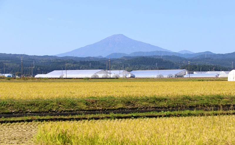 【返礼品なし】秋田県羽後町への寄付 応援 支援 寄附のみ 2,000円【羽後町ふるさと納税】