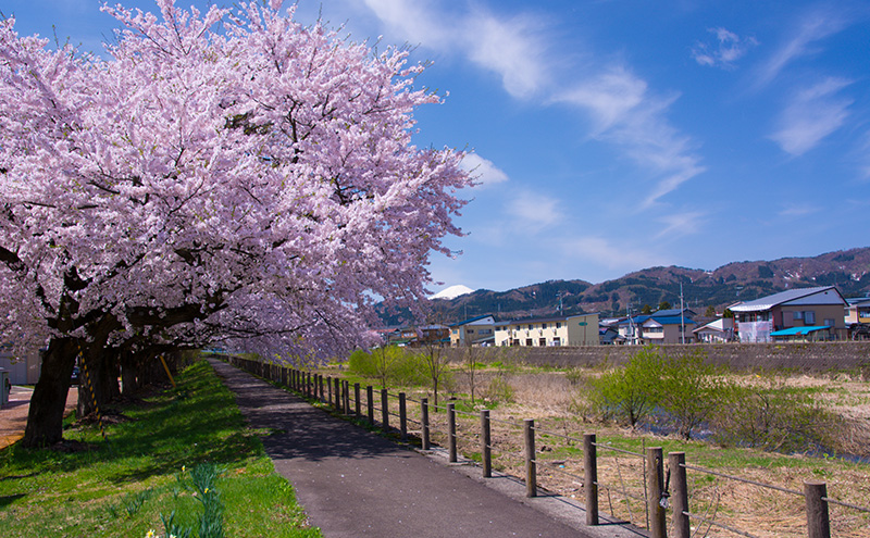 縲占ソ皮、シ蜩√↑縺励醍ァ狗伐逵檎セス蠕檎伴縺ク縺ョ蟇莉 蠢懈抄 謾ッ謠エ 蟇髯縺ョ縺ソ 5,000蜀縲千セス蠕檎伴縺オ繧九&縺ィ邏咲ィ弱
