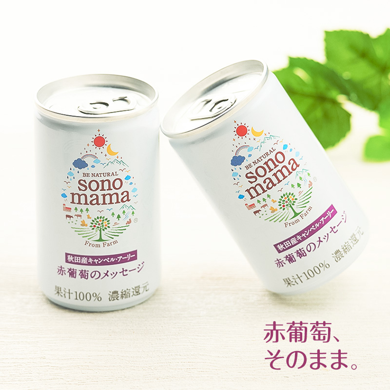 赤葡萄ジュース「sonomama」（160g×20本） ぶどう ブドウ 飲料 