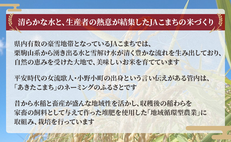無洗米 秋田県産 あきたこまち 3kg (1kg×3) 真空パック[令和7年産] JAこまち【 米 お米 白米 ご飯 お弁当 あま味 モチモチ 美味しい ブランド米 銘柄米 秋田 羽後 】