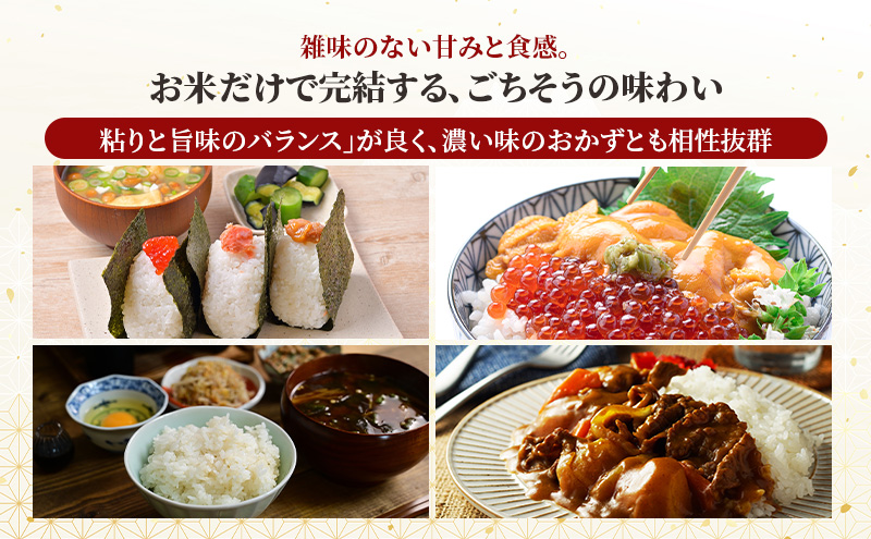 無洗米 秋田県産 あきたこまち 3kg (1kg×3) 真空パック[令和7年産] JAこまち【 米 お米 白米 ご飯 お弁当 あま味 モチモチ 美味しい ブランド米 銘柄米 秋田 羽後 】