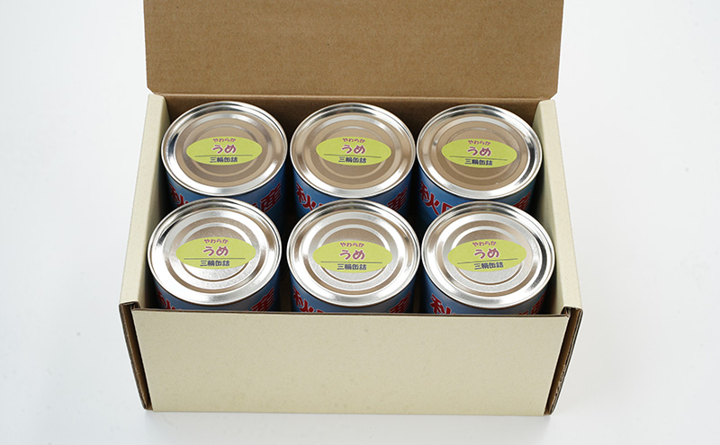 秋田特産 伝統製法 梅の甘露煮 6缶（480g/4号缶）三輪缶詰【 缶詰 梅 うめ ウメ 甘露 保存 秋田 羽後 】