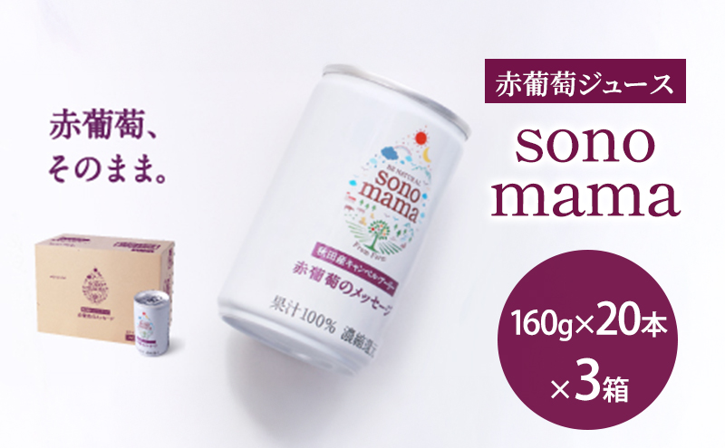 ふるさと納税 館林市 『PLUSカルピス(R)200ml』健康セット/睡眠・腸活ケア12本 & 体脂肪ケア12本 PLUSカルピス(R)200ml』健康セット&frasl;免疫サポート12本 \u0026 体脂肪ケア12本