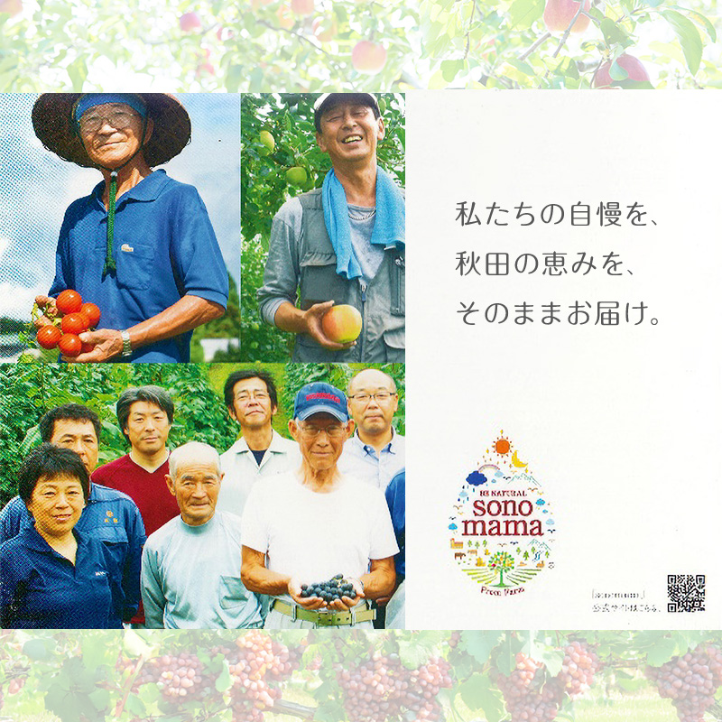 《 定期便 6ヵ月 》りんごジュース「sonomama」（160g×20本）りんご リンゴ ジュース リンゴジュース 飲料