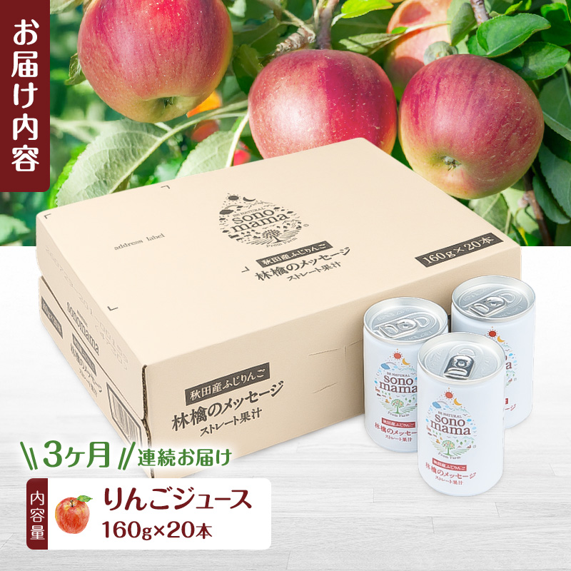 《 定期便 3ヵ月 》りんごジュース「sonomama」（160g×20本）りんご リンゴ ジュース リンゴジュース 飲料