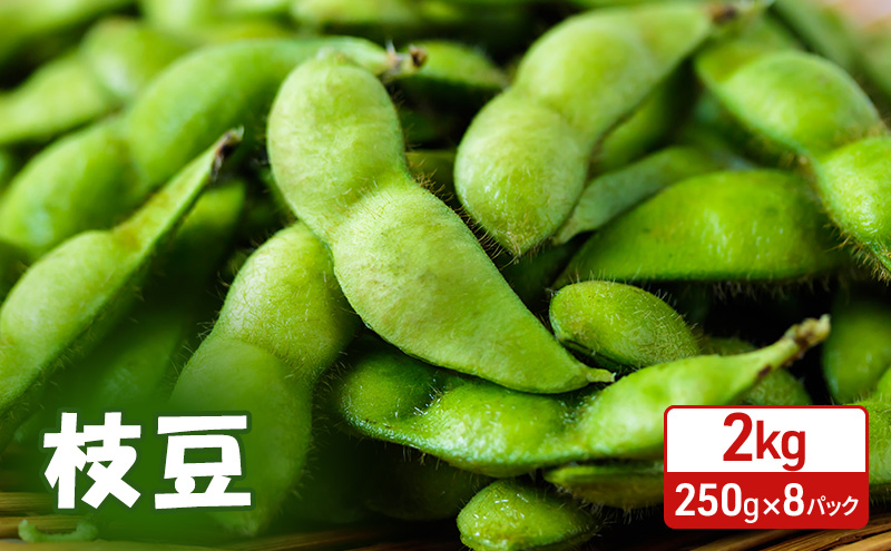 先行予約 秋田県 羽後町産 枝豆 2kg （250g×8） [えだまめ 簡単調理レンジ 国産 国産野菜 おつまみ]