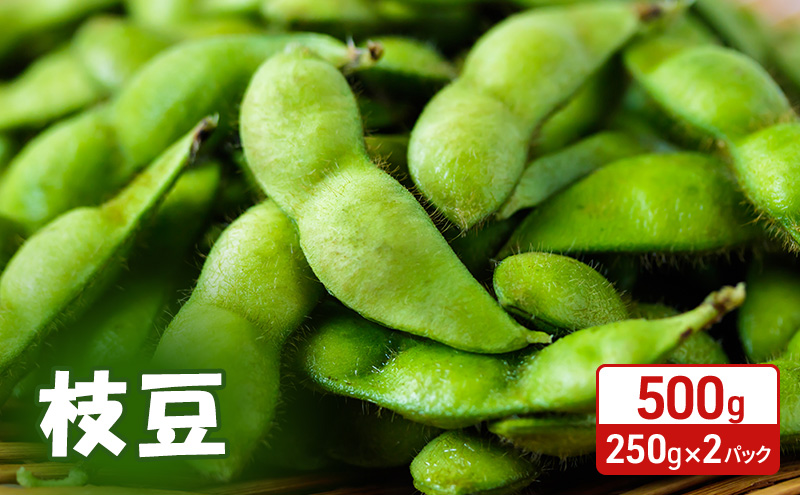 先行予約 秋田県 羽後町産 枝豆 500g （250g×2） [えだまめ 簡単調理レンジ 国産 国産野菜 おつまみ]