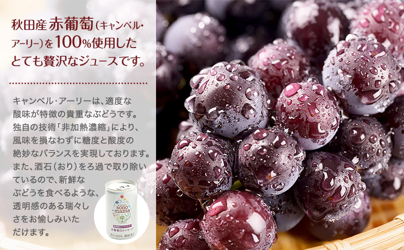 赤葡萄ジュース「sonomama」（160g×20本） ぶどう ブドウ 飲料 