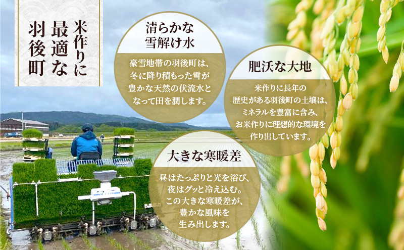 ［令和7年産］定期便 秋田県産 あきたこまち 10kg (5kg×2袋) 全6回 毎月お届け 羽後町産 [藤原商店]【 米 お米 白米 精米 あきたこまち アキタコマチ 定期 定期便 美味しい 秋田 羽後 】