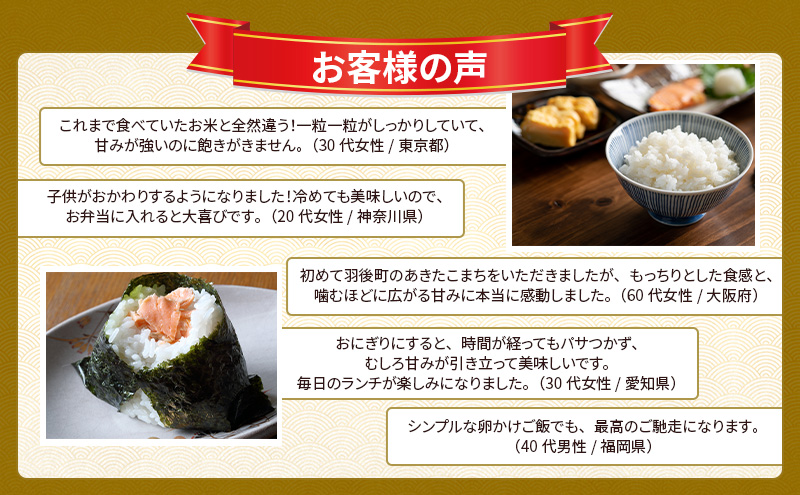 ［令和7年産］秋田県産 あきたこまち 15kg (5kg×3袋) 羽後町産 [藤原商店]【 米 お米 白米 精米 あきたこまち アキタコマチ 美味しい 秋田 羽後 】
