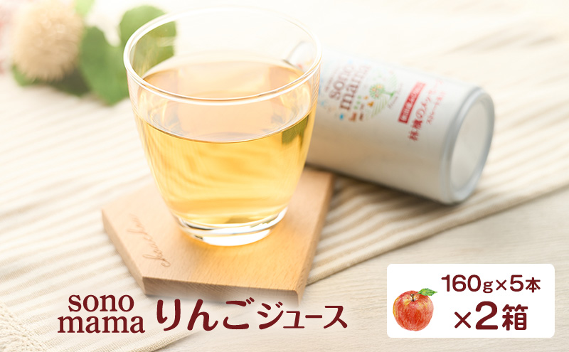 りんごジュース「sonomama」（160g×5本）×2箱 りんご リンゴ ジュース リンゴジュース 飲料