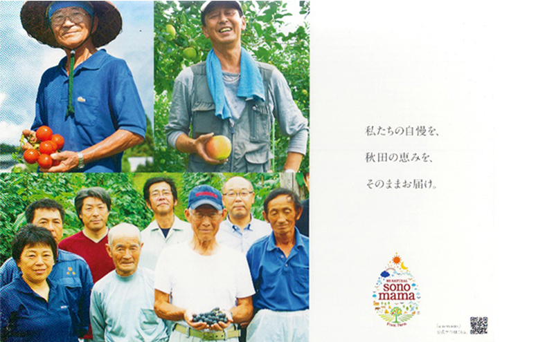 りんごジュース「sonomama」（160g×5本）×2箱 りんご リンゴ ジュース リンゴジュース 飲料