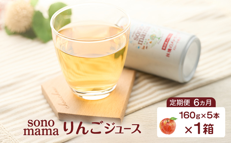 《 定期便 6ヵ月 》 りんごジュース「sonomama」（160g×5本）×1箱 りんご リンゴ ジュース リンゴジュース 飲料