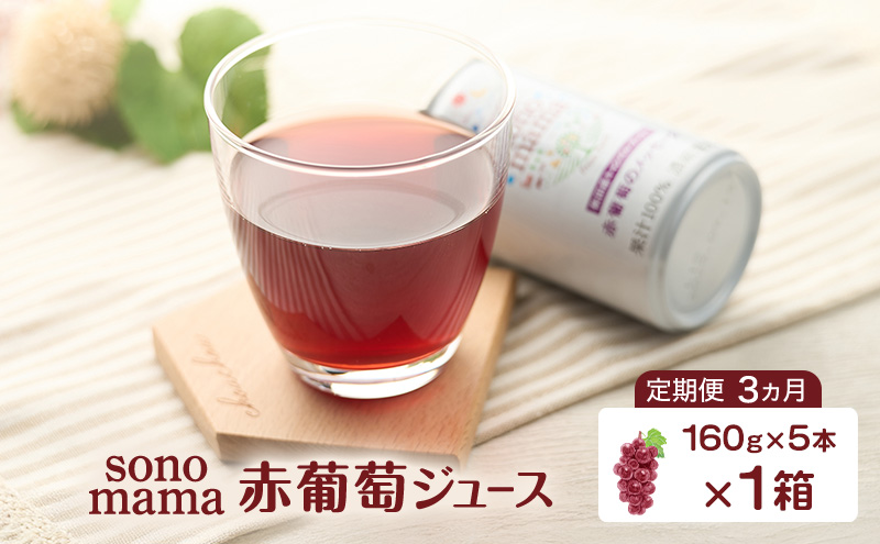 《 定期便 3ヵ月 》 赤葡萄ジュース「sonomama」（160g×5本）×1箱 ぶどう ブドウ ジュース ぶどうジュース 飲料