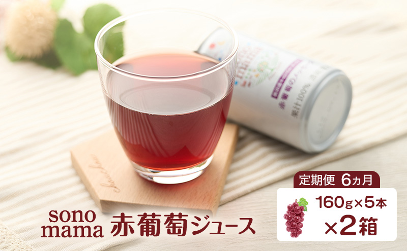 《 定期便 6ヵ月 》 赤葡萄ジュース「sonomama」（160g×5本）×2箱 ぶどう ブドウ ジュース ぶどうジュース 飲料