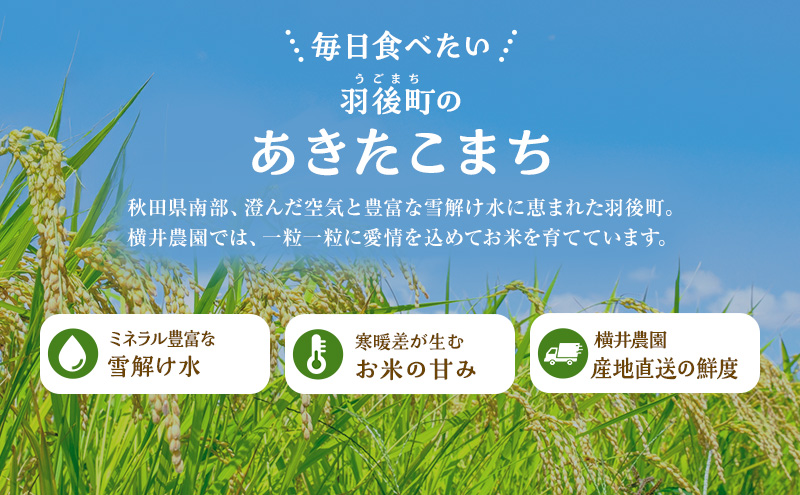〈先行予約/11月発送開始〉秋田県 羽後産 あきたこまち 5kg 農家直送 [令和8年産] 横井農園【 米 お米 ご飯 あきたこまち ブランド米 銘柄米 農家直送 特産品 秋田 羽後 】