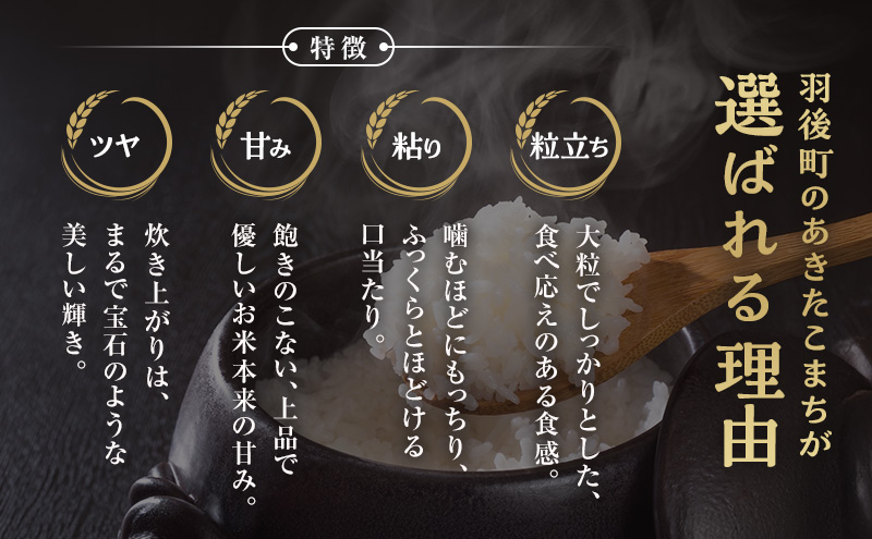 〈先行予約/11月発送開始〉秋田県 羽後産 あきたこまち 5kg 農家直送 [令和8年産] 横井農園【 米 お米 ご飯 あきたこまち ブランド米 銘柄米 農家直送 特産品 秋田 羽後 】