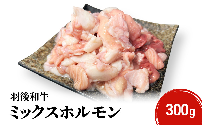 秋田県 羽後町産 羽後和牛 ミックスホルモン 300g 【 焼肉 ホルモン BBQ バーベキュー キャンプ 】