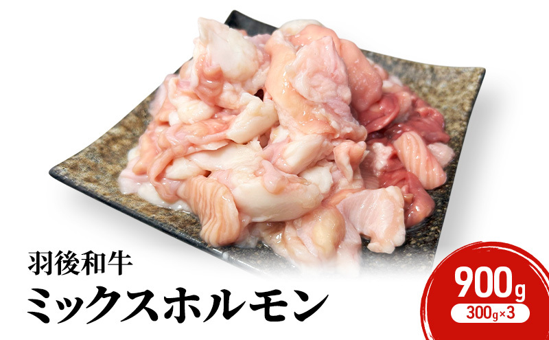 秋田県 羽後町産 羽後和牛 ミックスホルモン 900g （300g×3）【 焼肉 ホルモン BBQ バーベキュー キャンプ 】