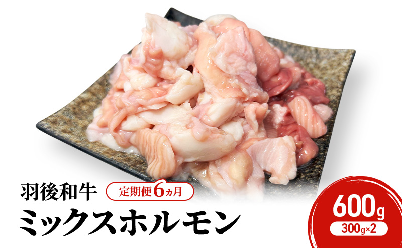 《 定期便 6ヵ月 》 秋田県 羽後町産 羽後和牛 ミックスホルモン 600g （300g×2）【 焼肉 ホルモン BBQ バーベキュー キャンプ 】