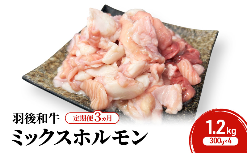 《 定期便 3ヵ月 》 秋田県 羽後町産 羽後和牛 ミックスホルモン 1.2kg （300g×4）【 焼肉 ホルモン BBQ バーベキュー キャンプ 】