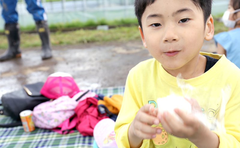 訳あり 令和6年産　羽後町産あきたこまち無洗米２合(300g)×３袋 【米 お米 白米 精米 新米 あきたこまち アキタコマチ 美味しい 秋田 羽後 】