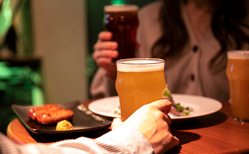 【 定期便 3ヵ月】羽後町産 地ビール IPA 010 IPA 008 各3本[クラフトビール ビール お酒 詰め合わせ ギフト プレゼント]