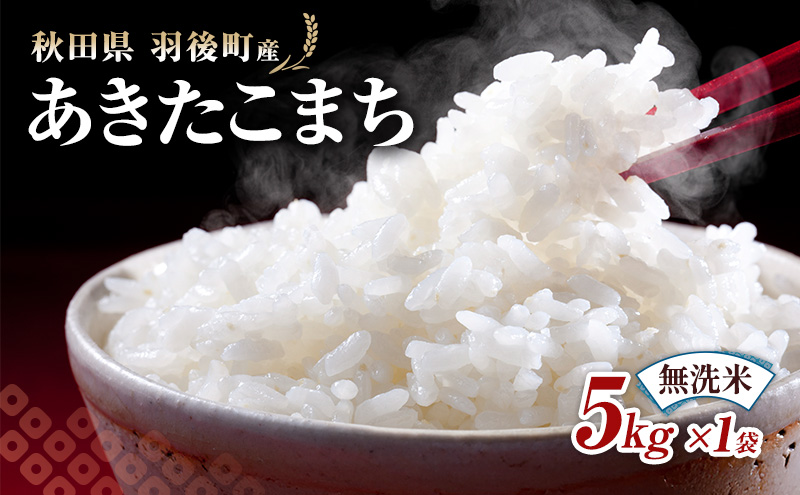 秋田県 羽後町産 あきたこまち 無洗米 5kg×1袋 【 米 お米 白米 精米 アキタコマチ 美味しい 秋田 羽後 】