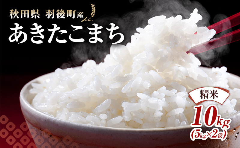 秋田県 羽後町産 あきたこまち 精米 10kg（5kg×2袋）【 米 お米 白米 精米 アキタコマチ 美味しい 秋田 羽後 】