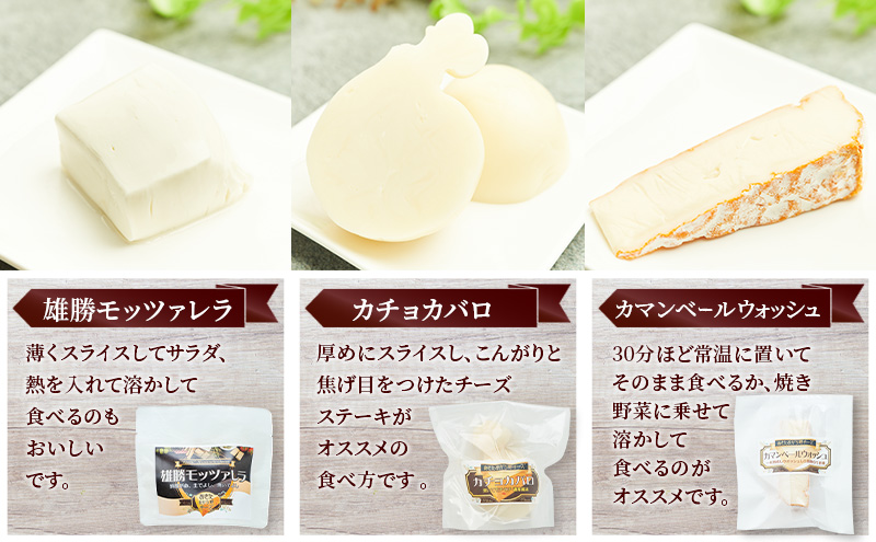 【定期便3ヵ月】秋田 羽後 チーズアソート5種9個/フレッシュセット［明通りチーズ工房］モッツァレラ・カチョカバロ・スカモルツァ2種・カマンベールウォッシュ【チーズ アソート 詰合せ セット バラエティ 乳製品 ワイン 麦酒 ビール 酒】