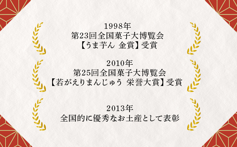 大正五年創業［お菓子の泉榮堂］若返りまんじゅう 10個入 しっとり もっちり 葛使用［第25回全国菓子大博覧会 栄誉大賞］【 和菓子 まんじゅう お菓子 スイーツ 秋田 羽後 】