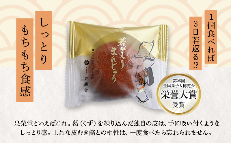 大正五年創業［お菓子の泉榮堂］若返りまんじゅう 10個入 しっとり もっちり 葛使用［第25回全国菓子大博覧会 栄誉大賞］【 和菓子 まんじゅう お菓子 スイーツ 秋田 羽後 】