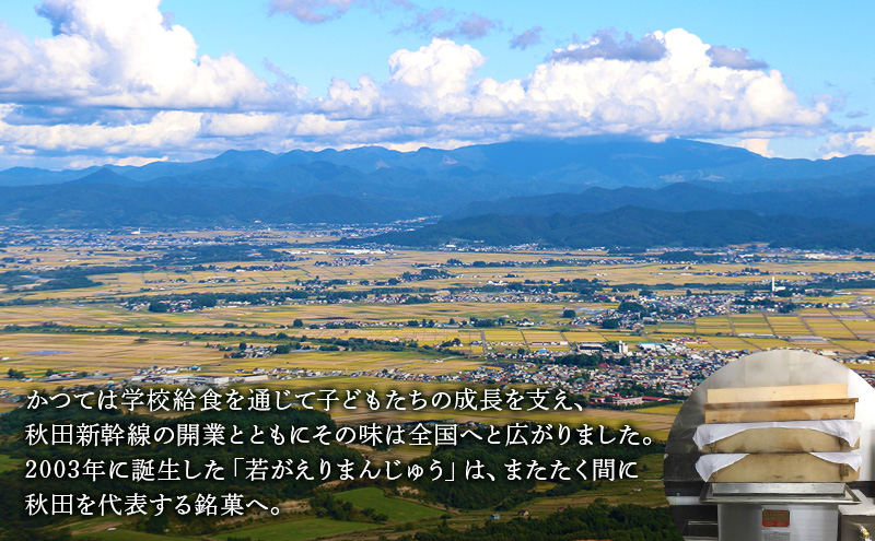 大正五年創業［お菓子の泉榮堂］若返りまんじゅう 20個入 しっとり もっちり 葛使用［第25回全国菓子大博覧会 栄誉大賞］【 和菓子 まんじゅう お菓子 スイーツ 秋田 羽後 】