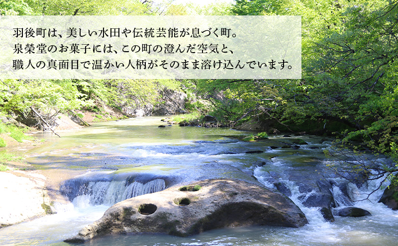 大正五年創業［お菓子の泉榮堂］くるみ餅 6個入 香ばし大粒胡桃 醤油ベースの優しい甘み 伝統菓子【 和菓子 お菓子 スイーツ 餅 秋田 羽後 】