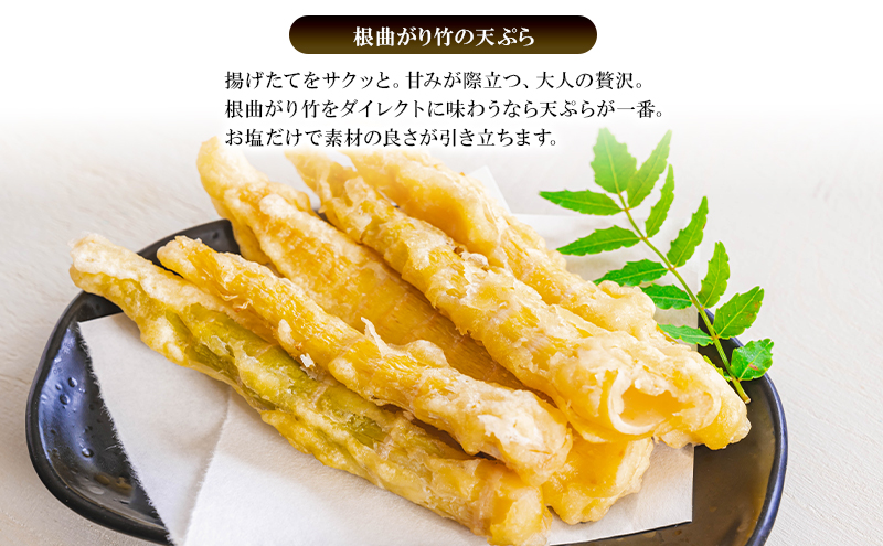 創業明治44年［菓子司 万寿堂］名産缶詰 タケノコ水煮（根曲り竹）2缶セット 秋田 羽後 西馬音内【 缶詰 たけのこ 筍 根曲がり竹 山菜 水煮 保存食 老舗 ギフト 】