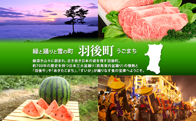 創業明治44年［菓子司 万寿堂］名産缶詰 小豆甘煮 3缶セット 秋田 羽後 西馬音内【 缶詰 小豆 あずき あんこ スイーツ 菓子材料 保存食 老舗 ギフト 】