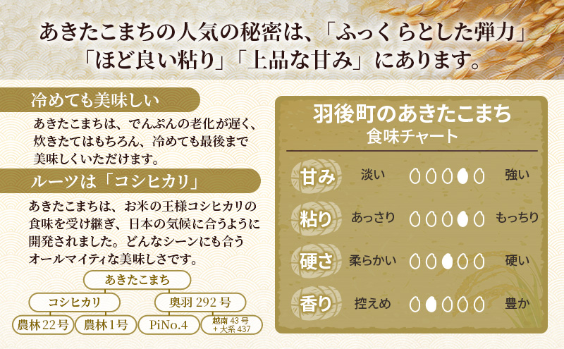 新米 先行予約［令和8年産］秋田県産 あきたこまち 5kg×1袋 羽後町産 [藤原商店]【 米 お米 白米 精米 あきたこまち アキタコマチ 美味しい 秋田 羽後 】