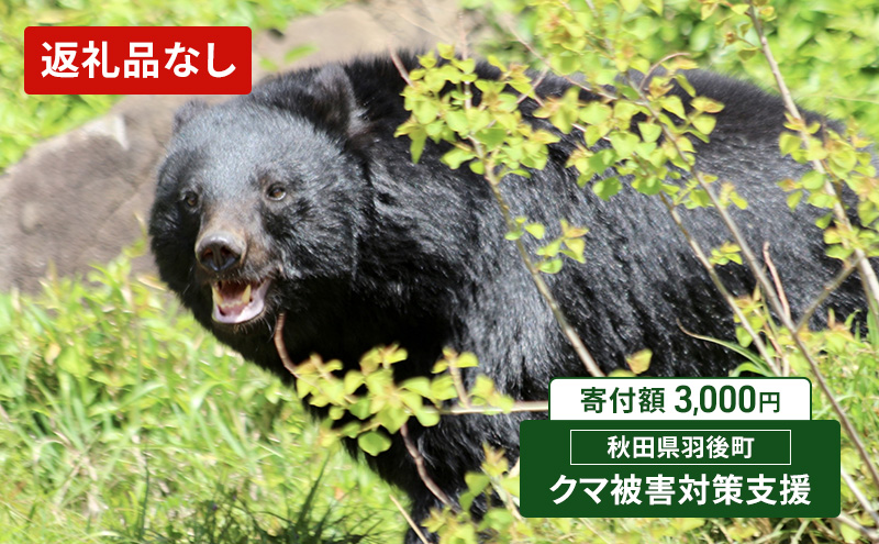 【返礼品なし】クマ被害対策支援（秋田県羽後町）3,000円 応援 支援 寄附のみ【羽後町ふるさと納税】