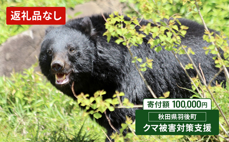 【返礼品なし】クマ被害対策支援（秋田県羽後町）100,000円 応援 支援 寄附のみ【羽後町ふるさと納税】