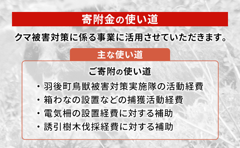 【返礼品なし】クマ被害対策支援（秋田県羽後町）100,000円 応援 支援 寄附のみ【羽後町ふるさと納税】