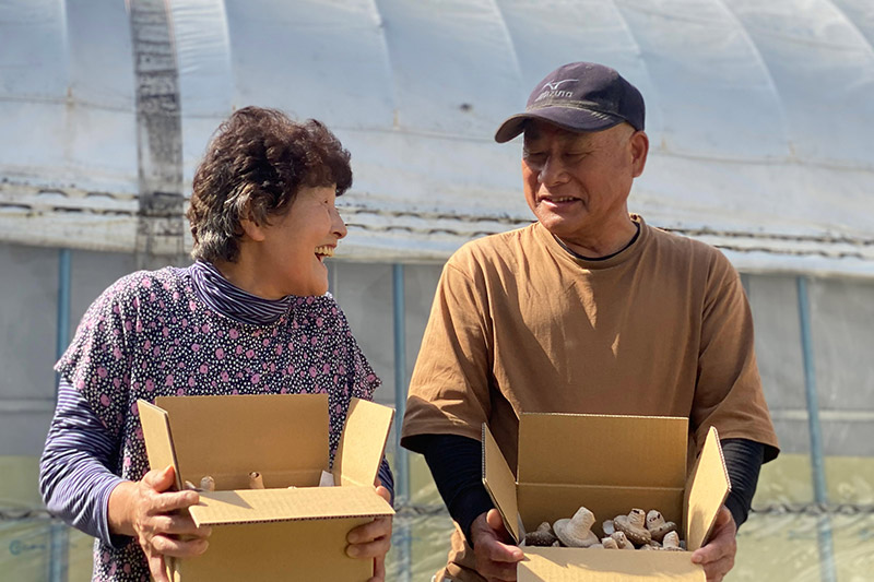 ご家庭用 菌床生しいたけ（B品C品混合） 500g 椎茸