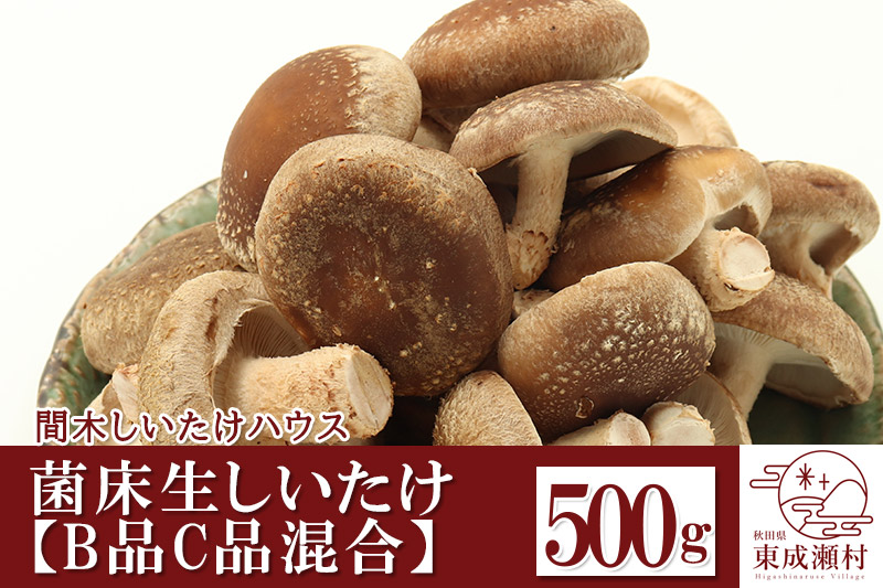 ご家庭用 菌床生しいたけ（B品C品混合） 500g 椎茸