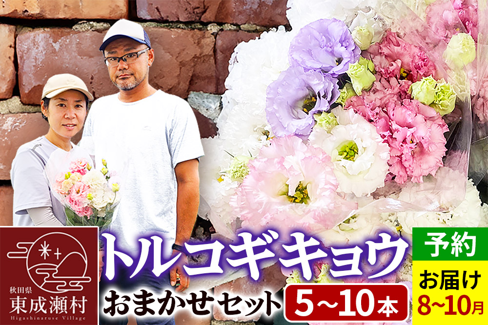 令和8年収穫分 花 生花 トルコギキョウおまかせセット (5〜10本)【先行予約】 かねはちファーム【2026年8月下旬から順次発送予定】