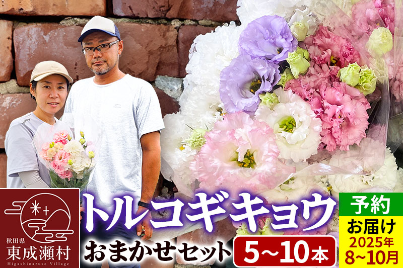 令和7年収穫分 花 生花 トルコギキョウおまかせセット (5〜10本)【先行予約】 かねはちファーム【2025年8月上旬から順次発送予定】