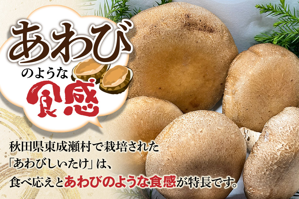 椎茸 あわびしいたけ 約600g 滝ノ沢ファーム 菌床 シイタケ きのこ 食べ応え 肉厚 茸 秋田県 国産 大ぶり 高品質 [きのこ しいたけ 椎茸 シイタケ 東成瀬村 あわび 食べ応え 菌床 無農薬 農薬不使用 朝採り 新鮮 食感 ギフト 贈り物]